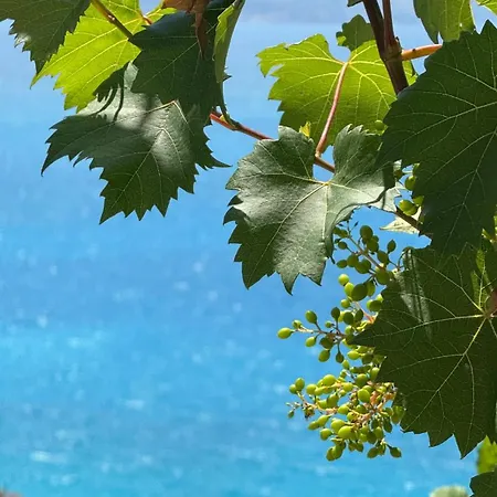 ゲストハウス Bedro