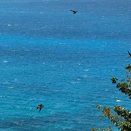 Bedro Sarandë