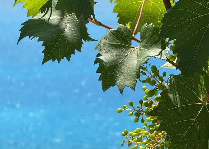 게스트하우스 Bedro